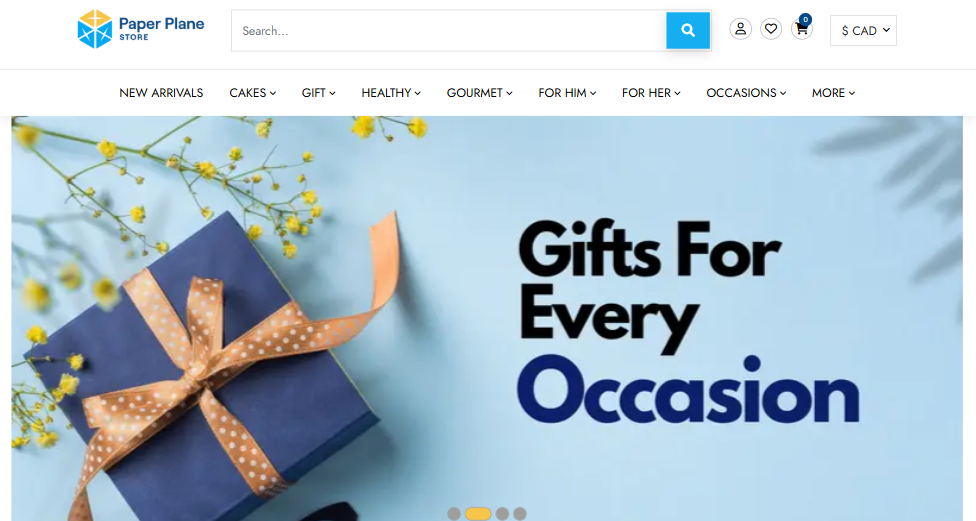 The Paper Plane Store